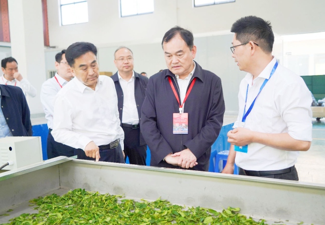 市政协主席赵哲，竹溪县人民政府县长师文明 等领导莅临公司调研