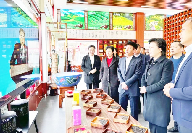 市委统委战部副部长、市工商联党组书记王静， 市工商联副主席张越等领导莅临公司调研
