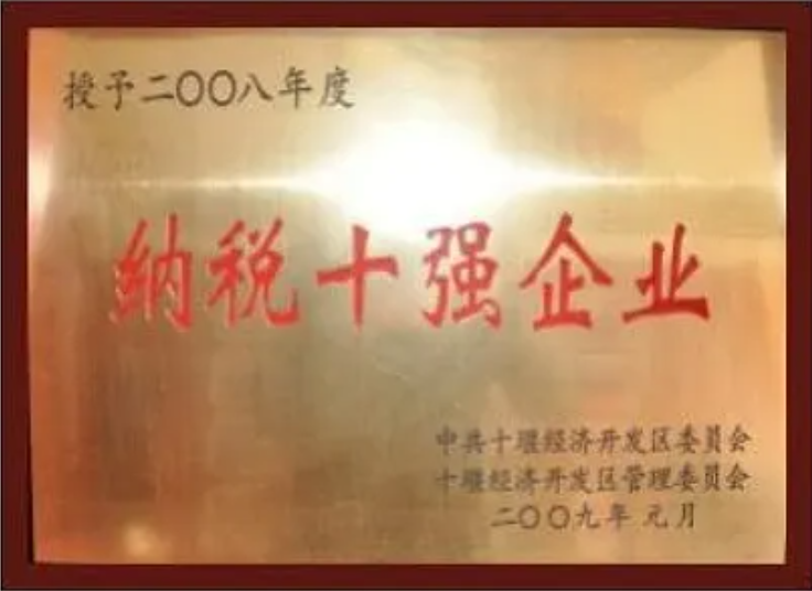 纳税十强企业