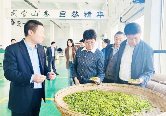 副市长朱云慧等领导莅临公司调研