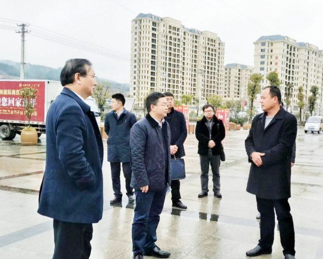 当阳市政协主席孙照玉率团莅临公司考察