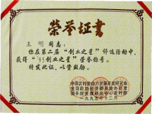 荣誉资质