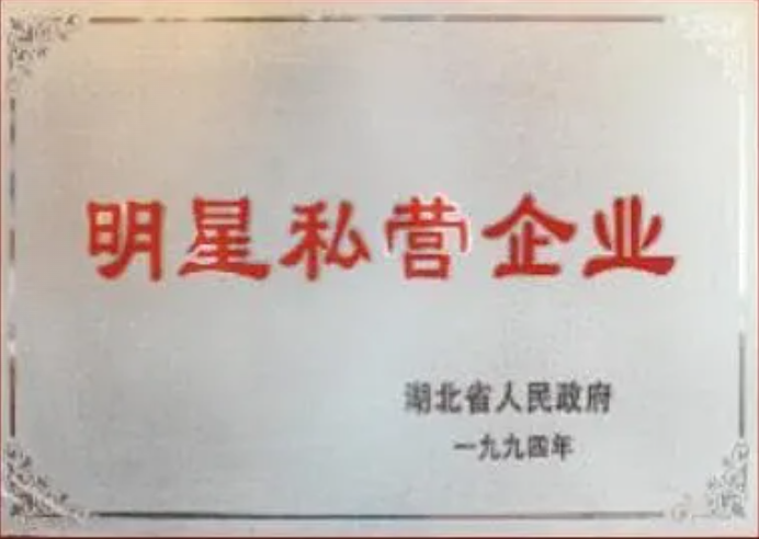 明星私营企业