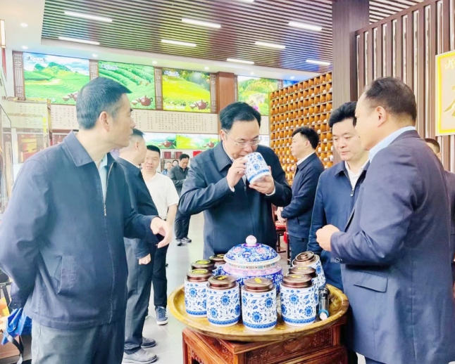 重庆市巫溪县县委书记李卫东率团莅临公司考察