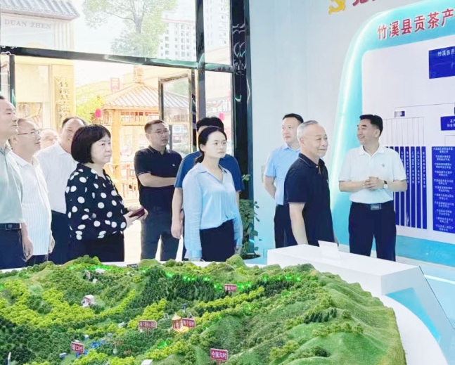 陕西省委政研室副厅级研究员任荣社率团莅临公司考察