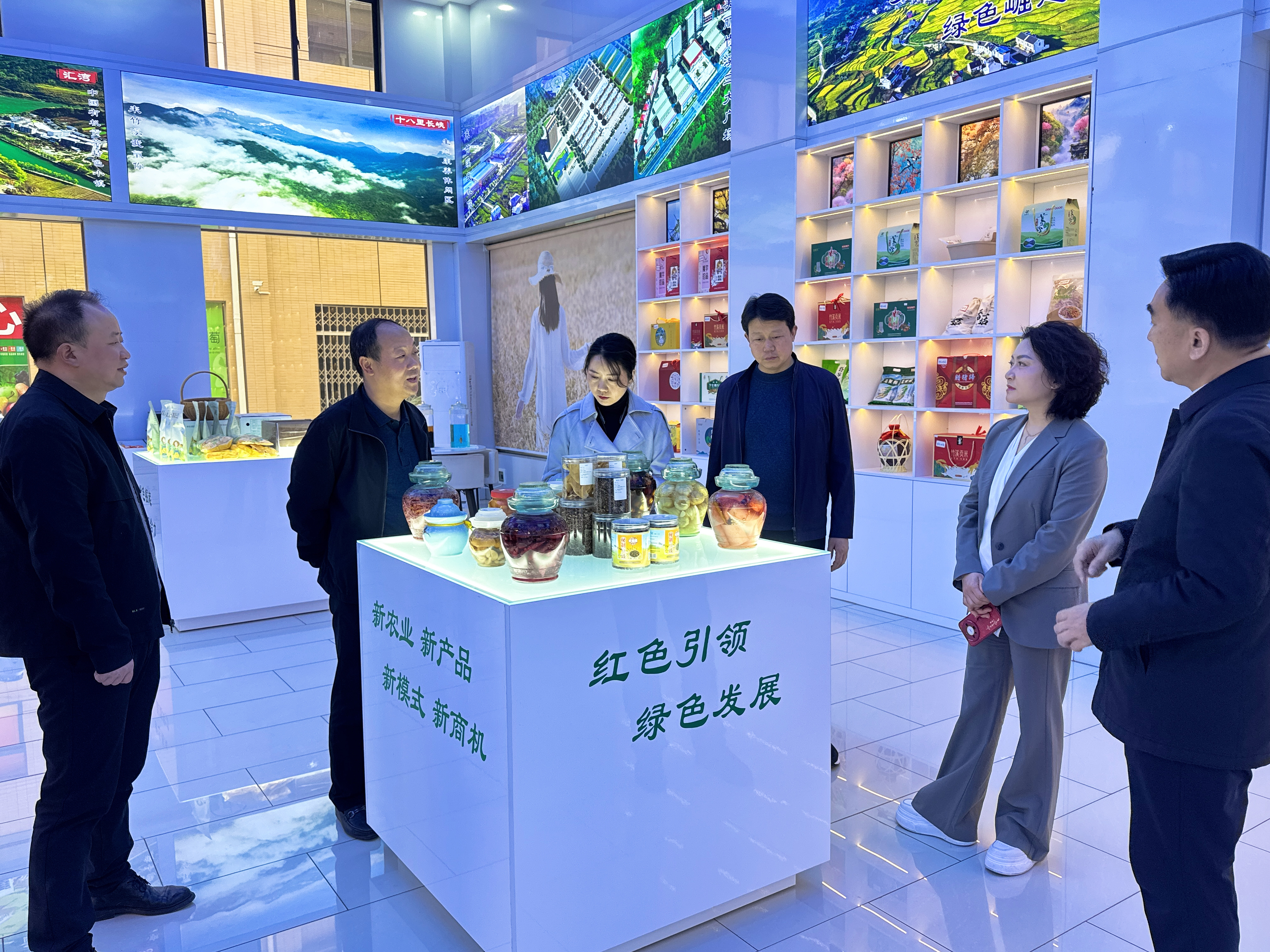浙江杭州海亮集团考察竹溪项目，共探乡村振兴合作新局